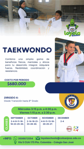 Taekwondo