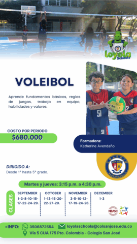 Voleibol